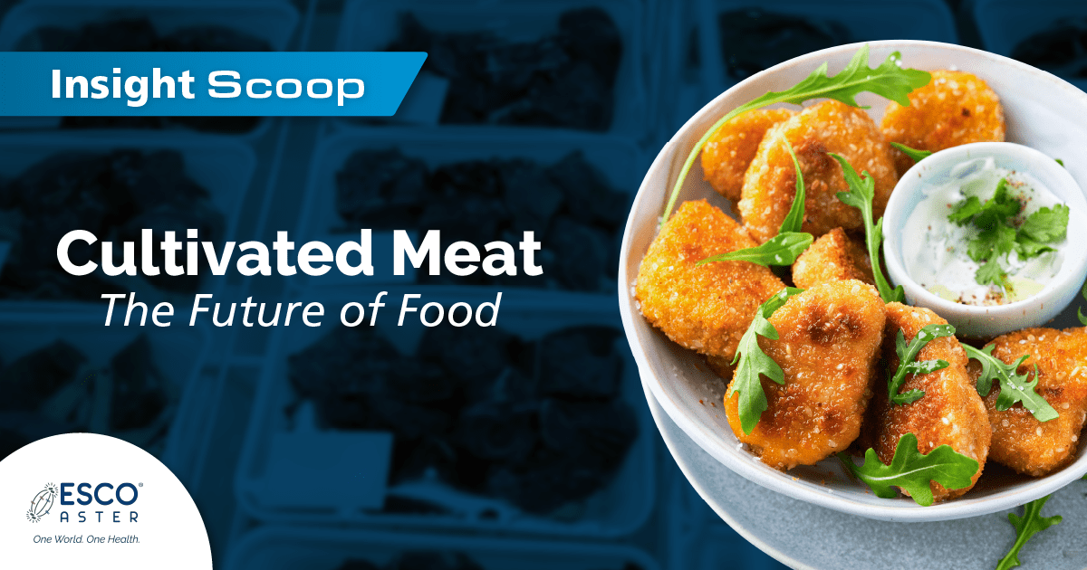 cultivated meat